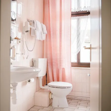 Allmanns-kroog Hotel 3*